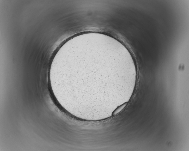 X0000110880011200907161513