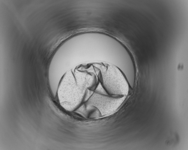 X0000110880013200907161513