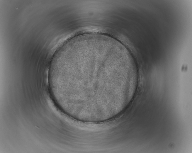 X0000110880014200907161513