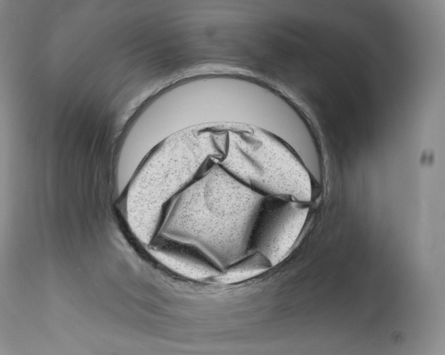 X0000110880015200907161513