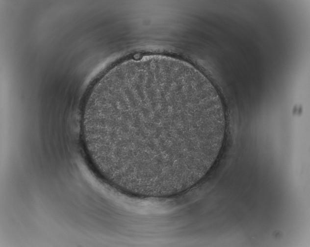 X0000110880016200907161513