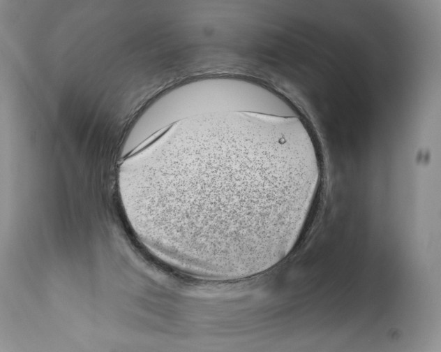 X0000110880017200907161513