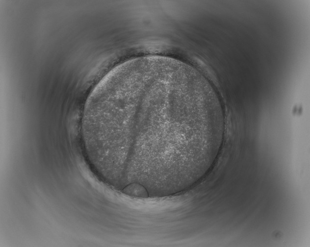 X0000110880018200907161513