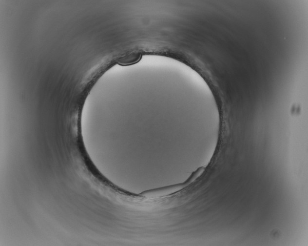 X0000110880019200907161512