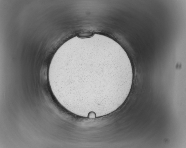 X0000110880021200907161512