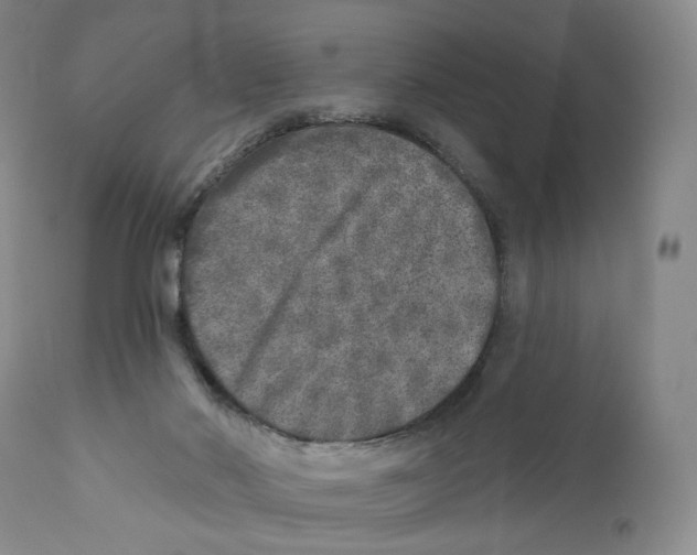 X0000110880022200907161512