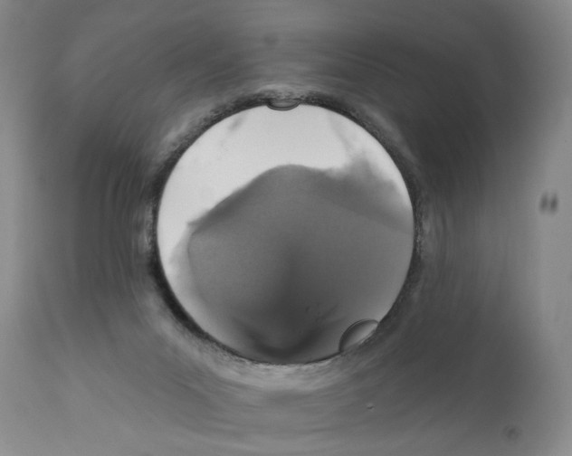 X0000110880023200907161512