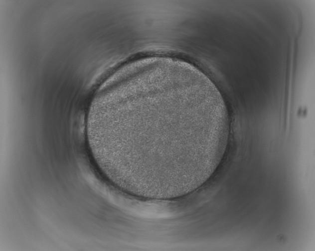 X0000110880024200907161512