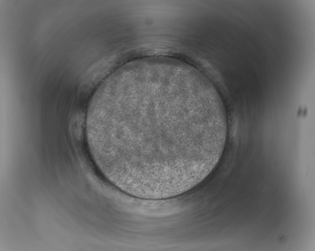 X0000110880026200907161512