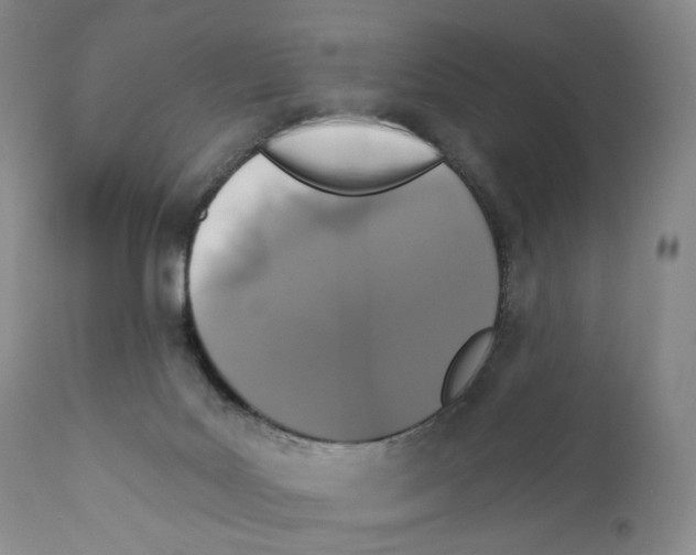 X0000110880027200907161512