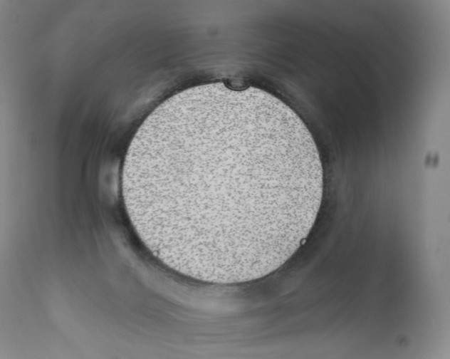 X0000110880028200907161512