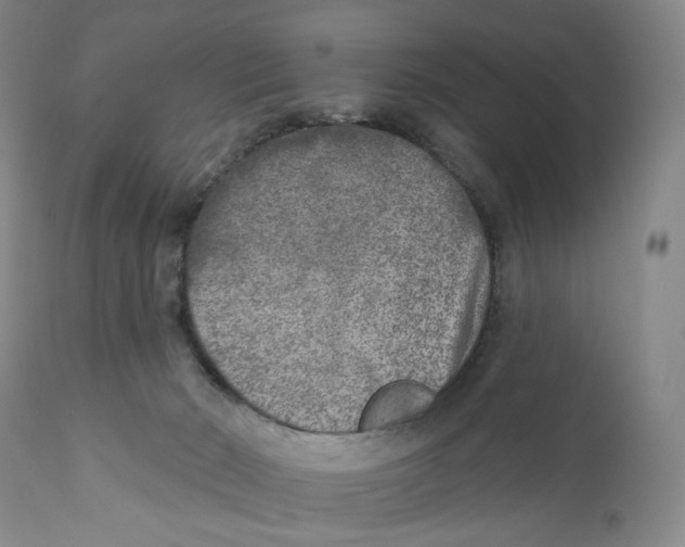 X0000110880030200907161512