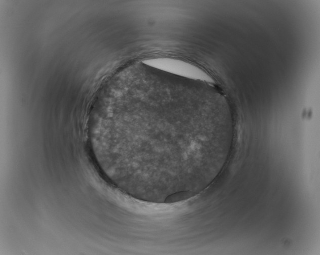 X0000110880031200907161512