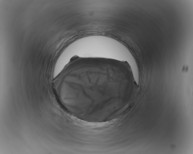 X0000110880035200907161512