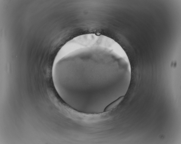 X0000110880039200907161512