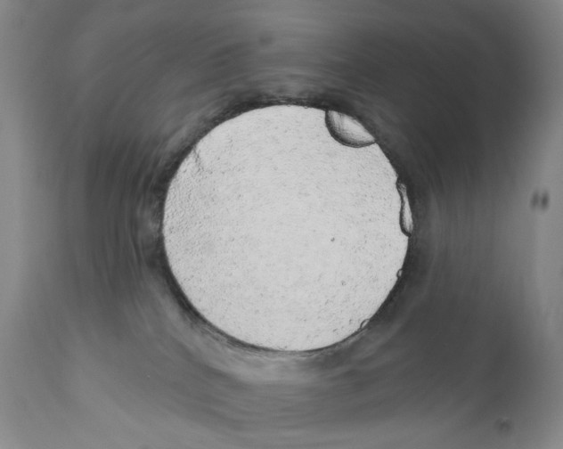 X0000110880040200907161512