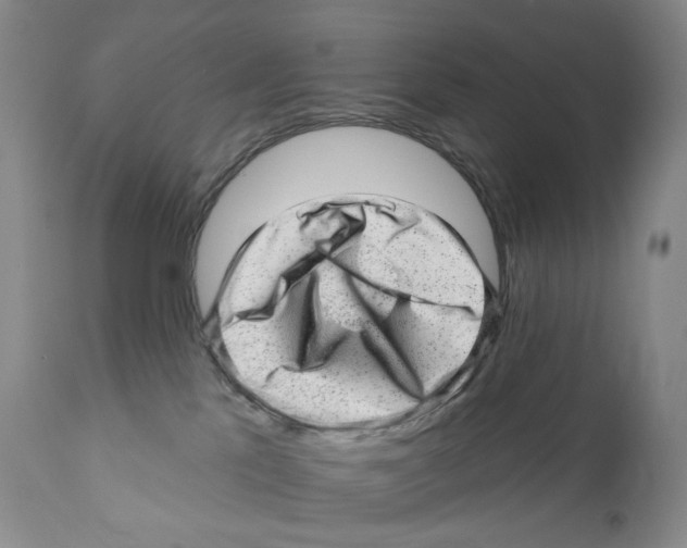 X0000110880041200907161512