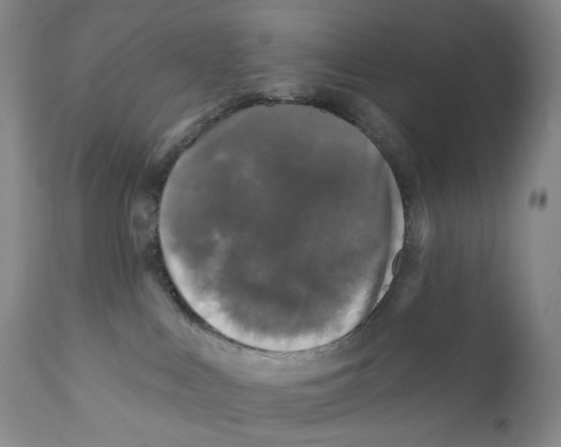 X0000110880043200907161512