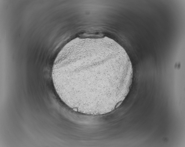 X0000110880044200907161512