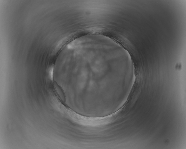 X0000110880047200907161512