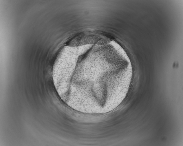 X0000110880048200907161512