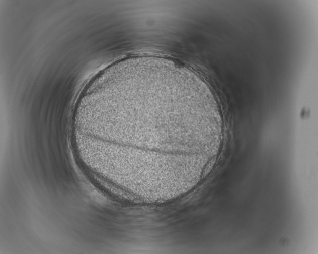 X0000110880049200907161511