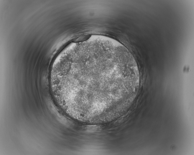 X0000110880050200907161511