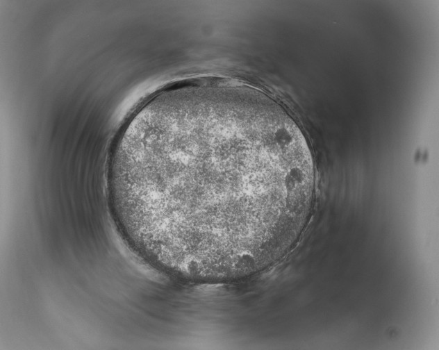 X0000110880054200907161512