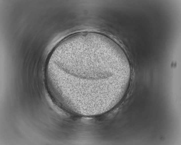 X0000110880055200907161512