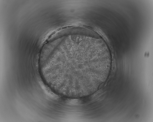 X0000110880058200907161512