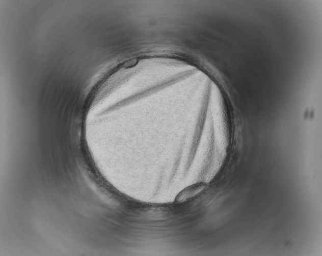 X0000110880059200907161512