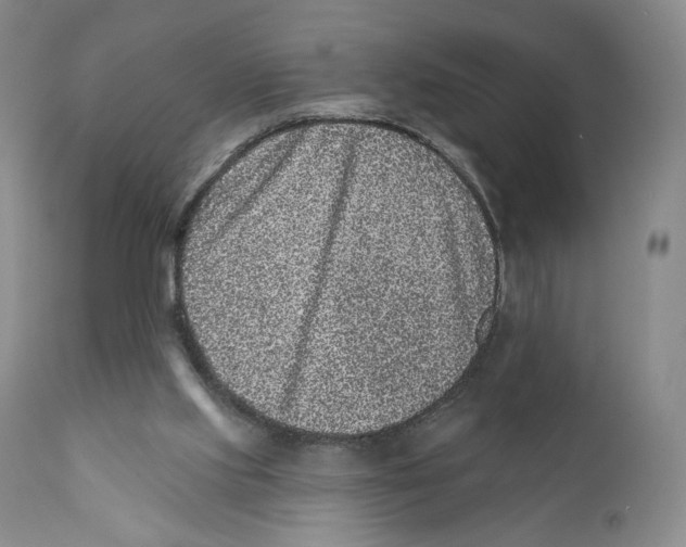 X0000110880061200907161512