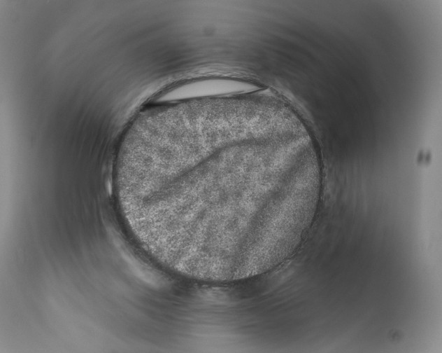 X0000110880062200907161512