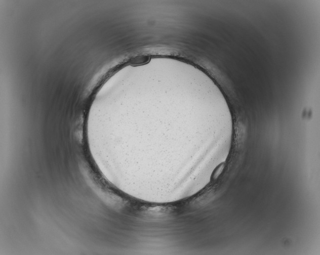 X0000110880064200907161512