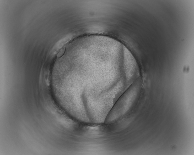 X0000110880068200907161512