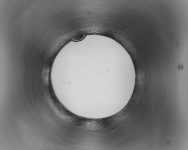 X0000110880070200907161512