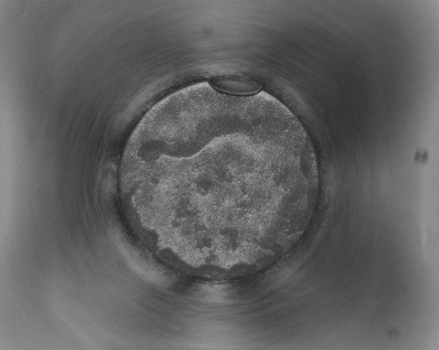 X0000110880071200907161512