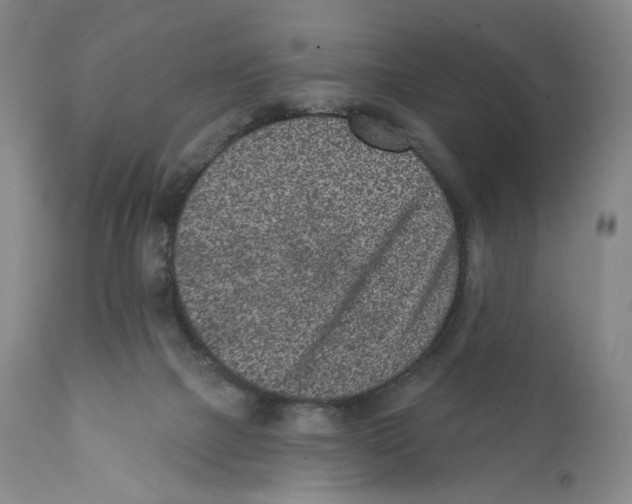 X0000110880073200907161512