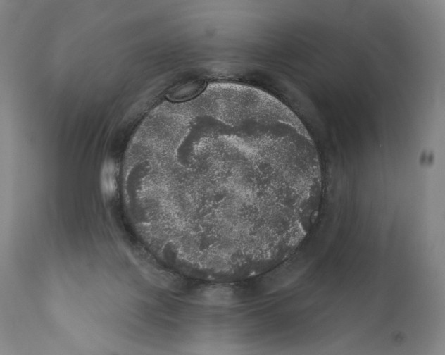 X0000110880075200907161512