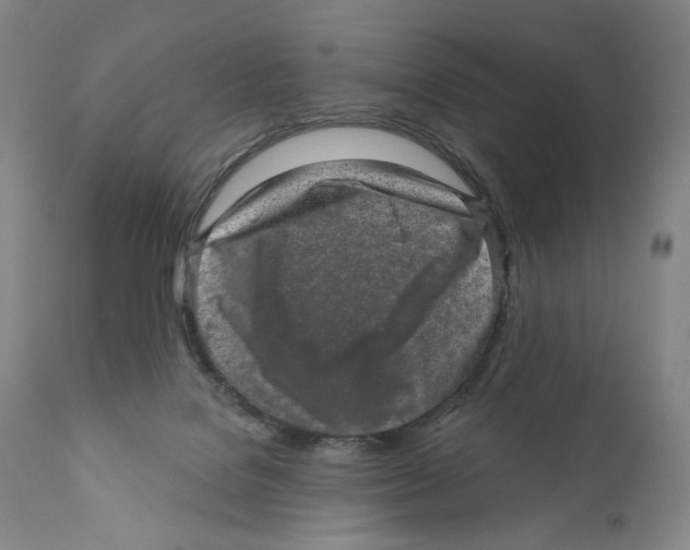 X0000110880076200907161512