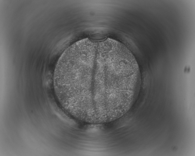 X0000110880077200907161512