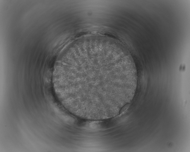 X0000110880078200907161512