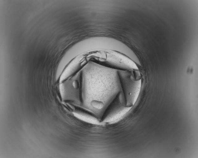 X0000110880080200907161512