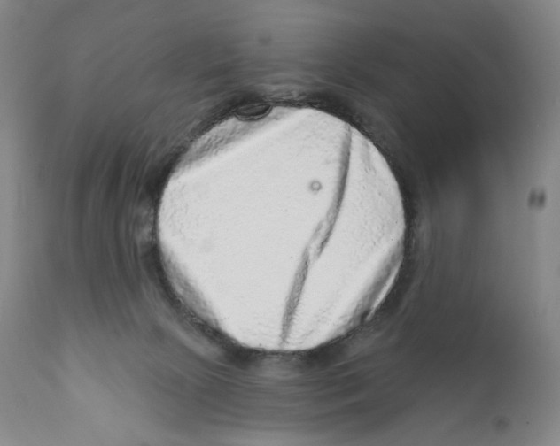 X0000110880081200907161512