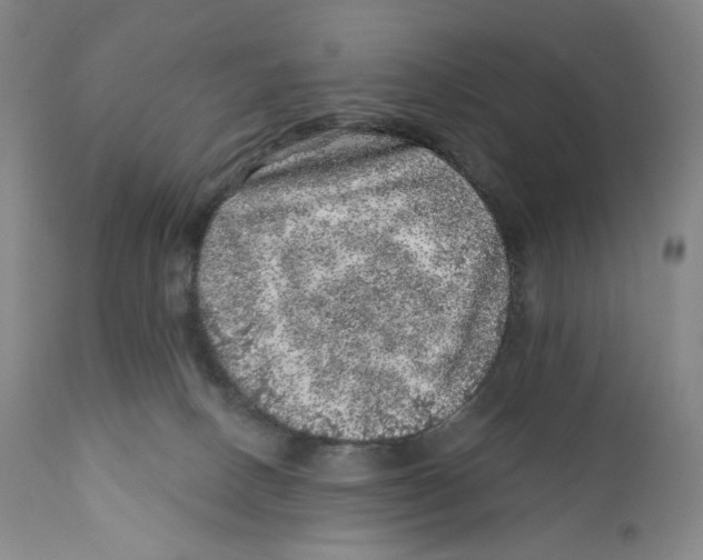 X0000110880082200907161512