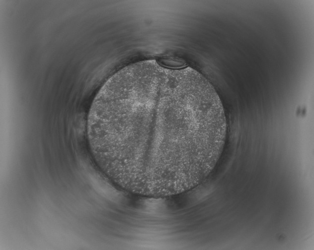 X0000110880085200907161512