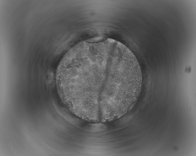 X0000110880087200907161512