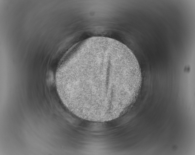 X0000110880089200907161512