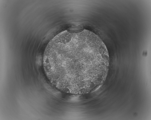 X0000110880090200907161512