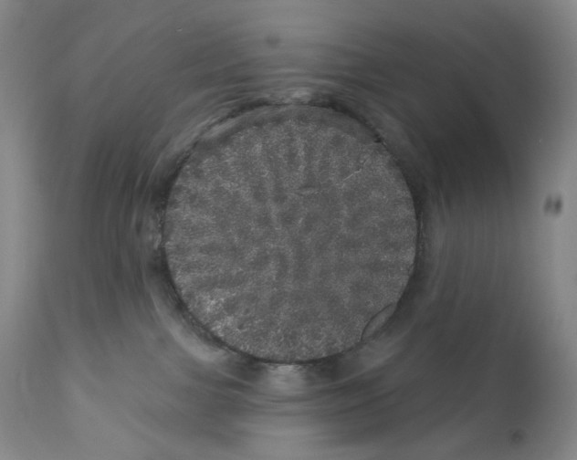 X0000110880091200907161512